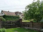 Třibřichy